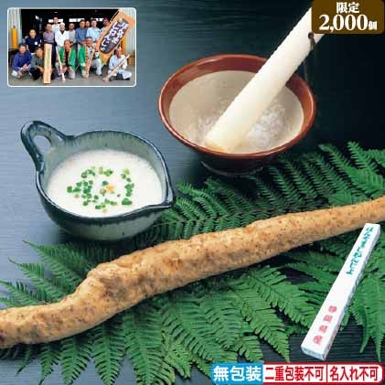 ＜※お歳暮対象商品＞静岡県産　自然薯