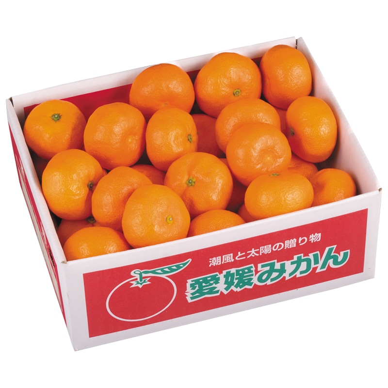 <※お歳暮対象商品>愛媛みかん