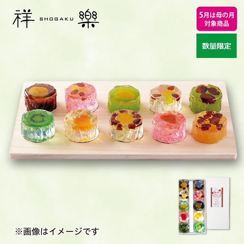 ＜※5月は母の月対象商品＞〈奈良祥楽〉半生菓子「雅」１０個詰合せ