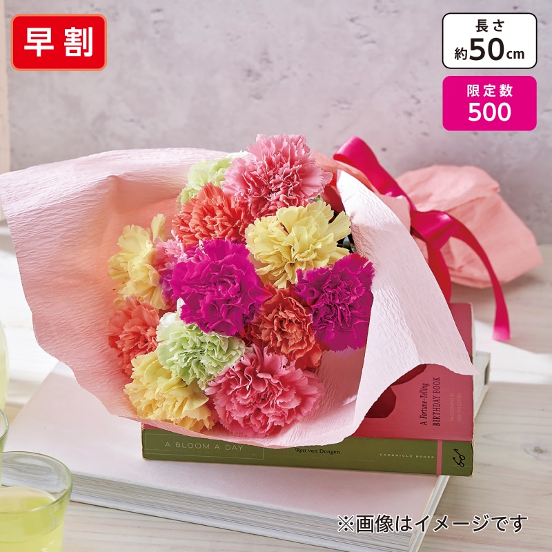 <※母の日対象商品>母の日花束(キャンディーカラー)
