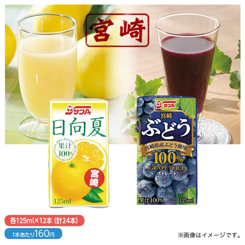 日向夏ジュース　果汁１００％・ぶどうジュース　果汁１００％詰合せ　計２４本