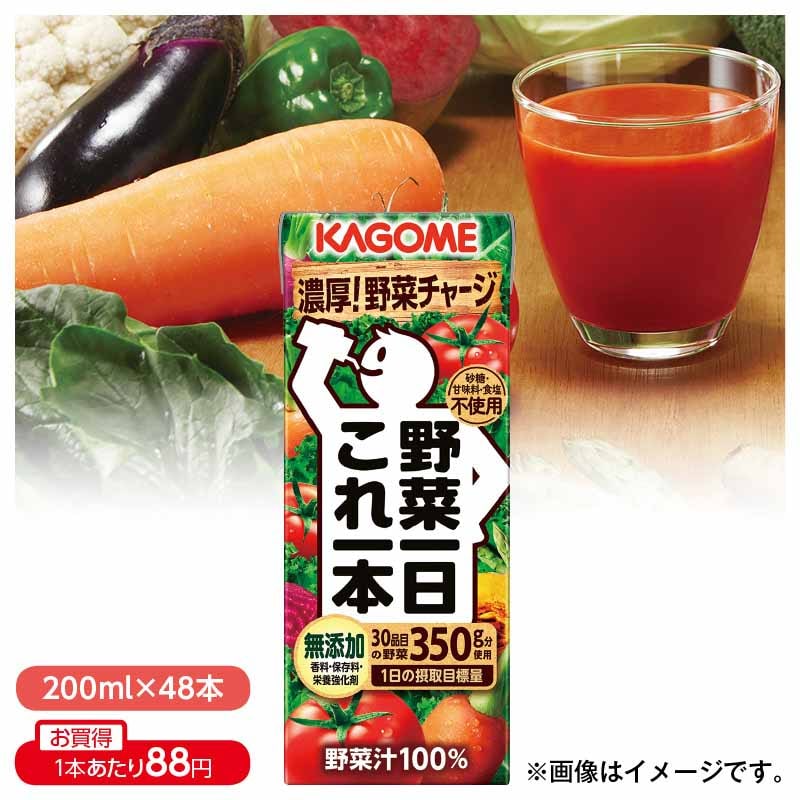 NHC 野菜と発酵のちから 250g×30缶 - 通販 - souljourneytravel.com