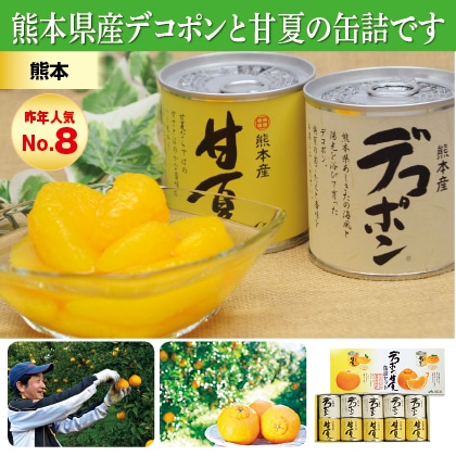 デコポン　甘夏缶詰セット（１０缶入）