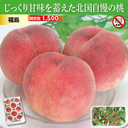福島県産　旬の白桃