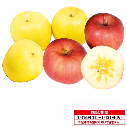 フルーツマルシェ〜Ｊａｎｕａｒｙ〜蜜入りサンふじと黄色系りんご