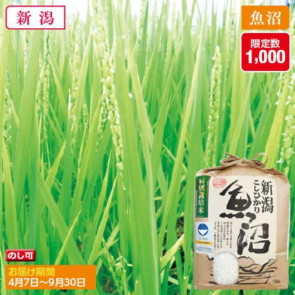 魚沼コシヒカリ特別栽培米　５ｋｇ