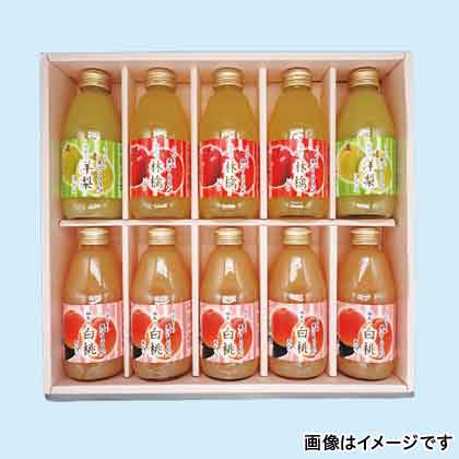 ジュース(小瓶)10本セット