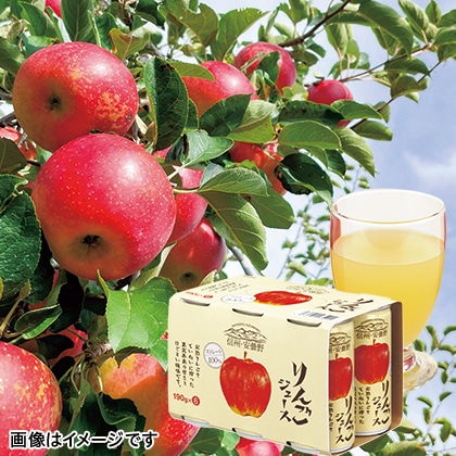 信州安曇野りんごジュース 30本