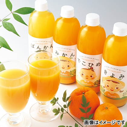 マルワフルーツ柑橘アソート　６本入