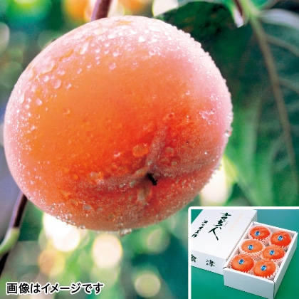 【配送期間限定】會津の柿「吉美人」　６個