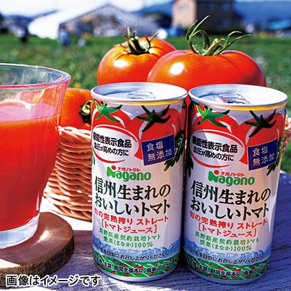 信州生まれのおいしいトマト食塩無添加　６０本