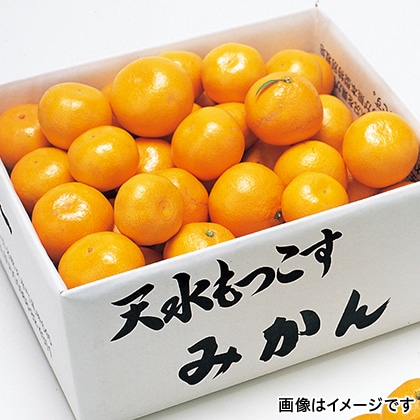 {݂̂@W