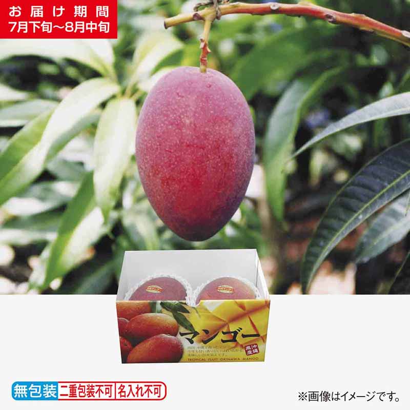<※お中元対象商品>贈答用マンゴー 850g