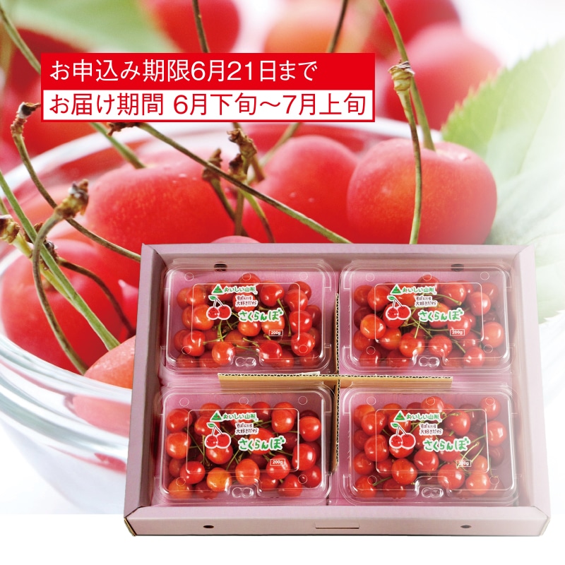 <※お中元対象商品>山形県産 さくらんぼ(東日本版)