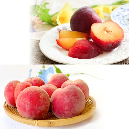 ＷＥＢ定期便果物コース　旬の桃と貴陽　７月お届け