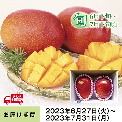 沖縄のアップルマンゴー　６００ｇ