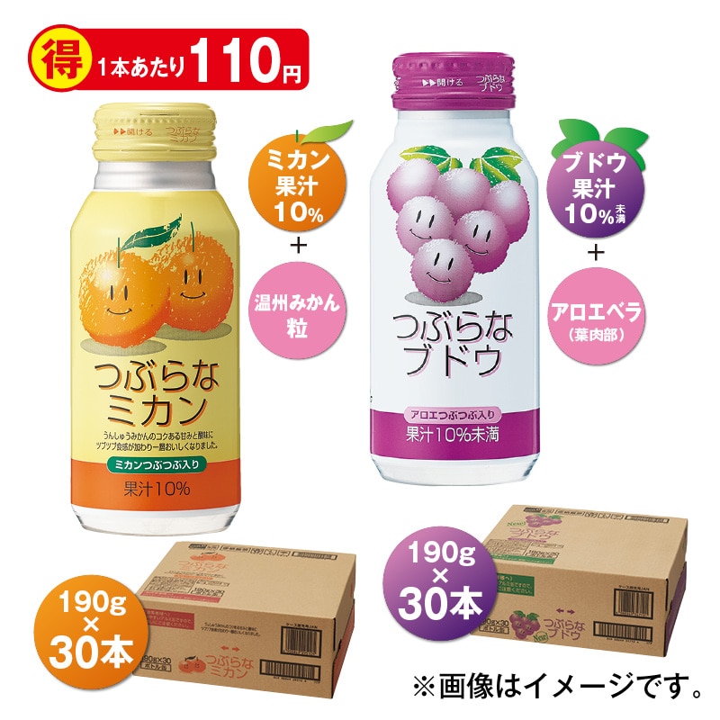 つぶらなミカン&つぶらなブドウ