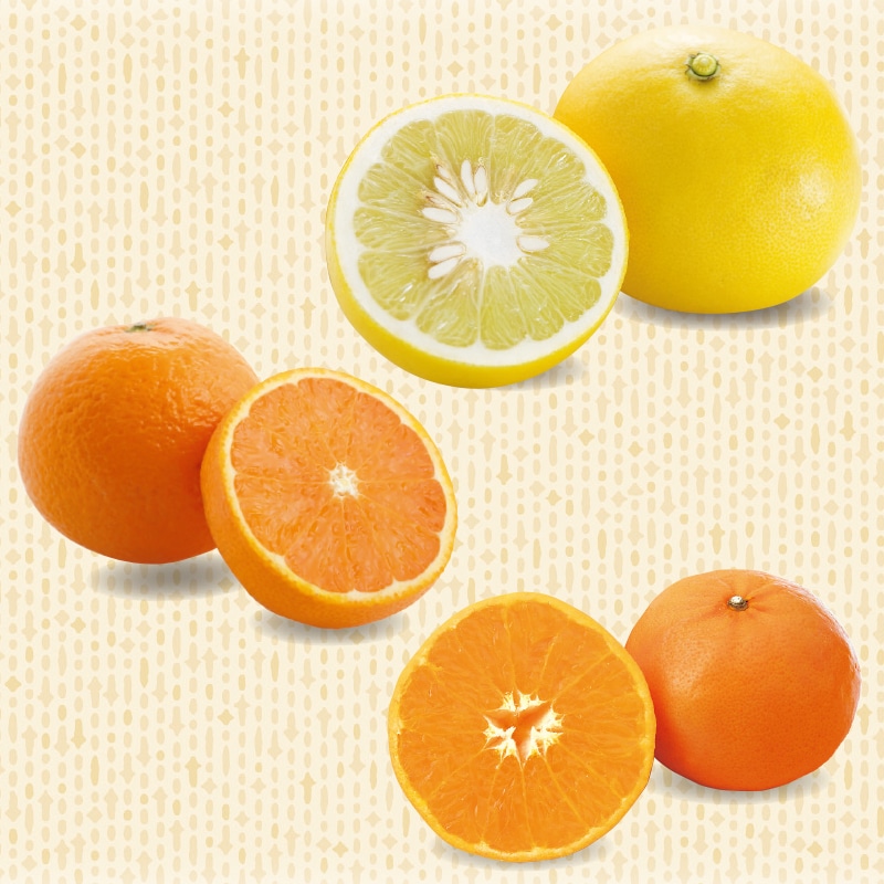 豊洲市場から届く柑橘食べ比べセット（３月）