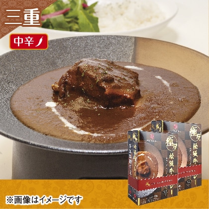 極厚松阪牛カレー＆極厚牛ほほ肉カレーセットＢ