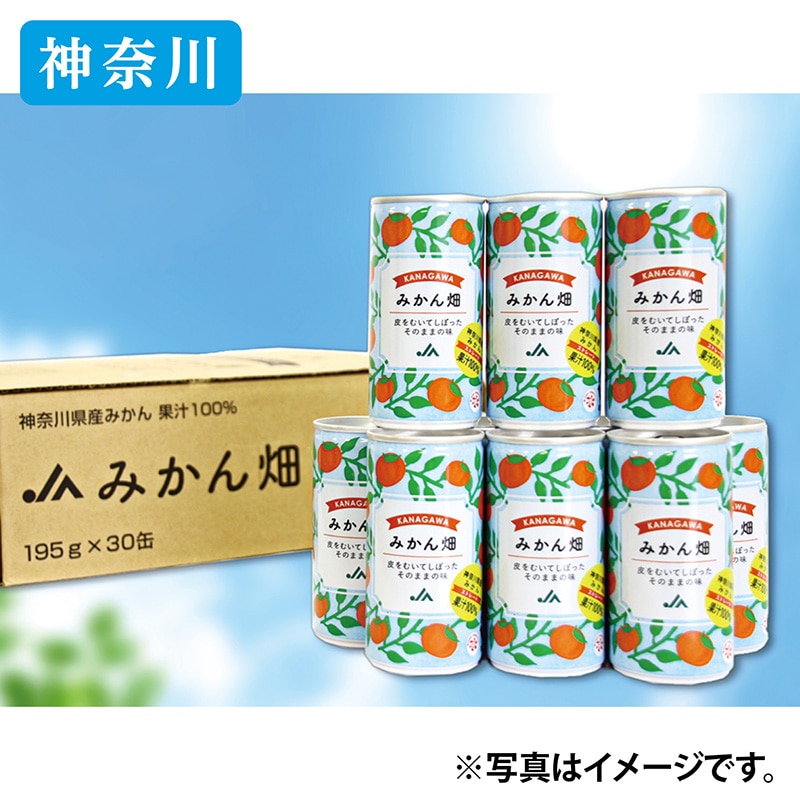 神奈川県産みかん果汁100%