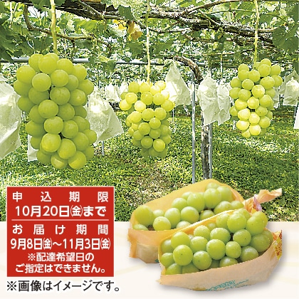 シャインマスカット