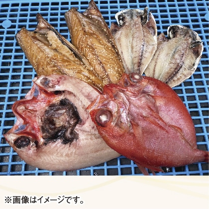 天日干しひもの詰合せ