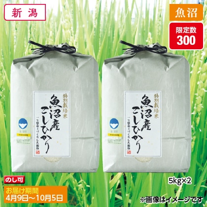 魚沼コシヒカリ特別栽培米　５ｋｇ×２