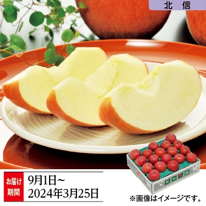 信州りんご家庭用 5kg