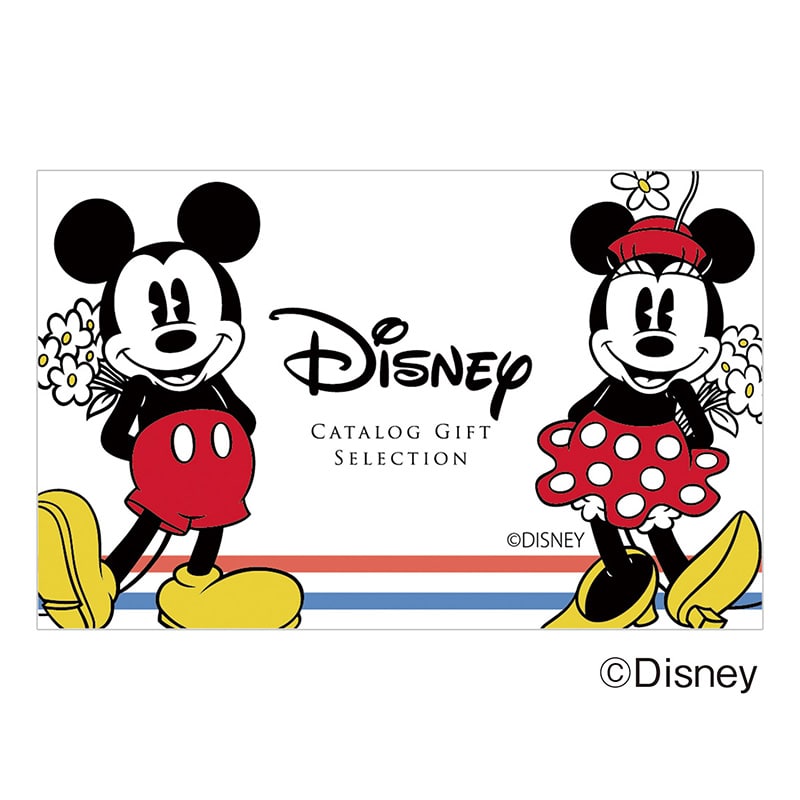 �f�B�Y�j�[�J�^���O�M�t�g�Z���N�V�����@�n�b�s�[�@�R�[�X�i���|�f�������j�y�c���p�z