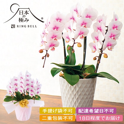 ���{�̋ɂ݁@�Ӓ����u�����v�R�{���y�c���p�z