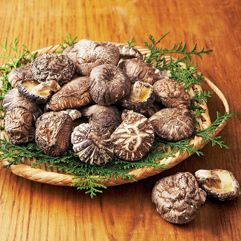 �啪�Y���؊��ő���������y�����p�z