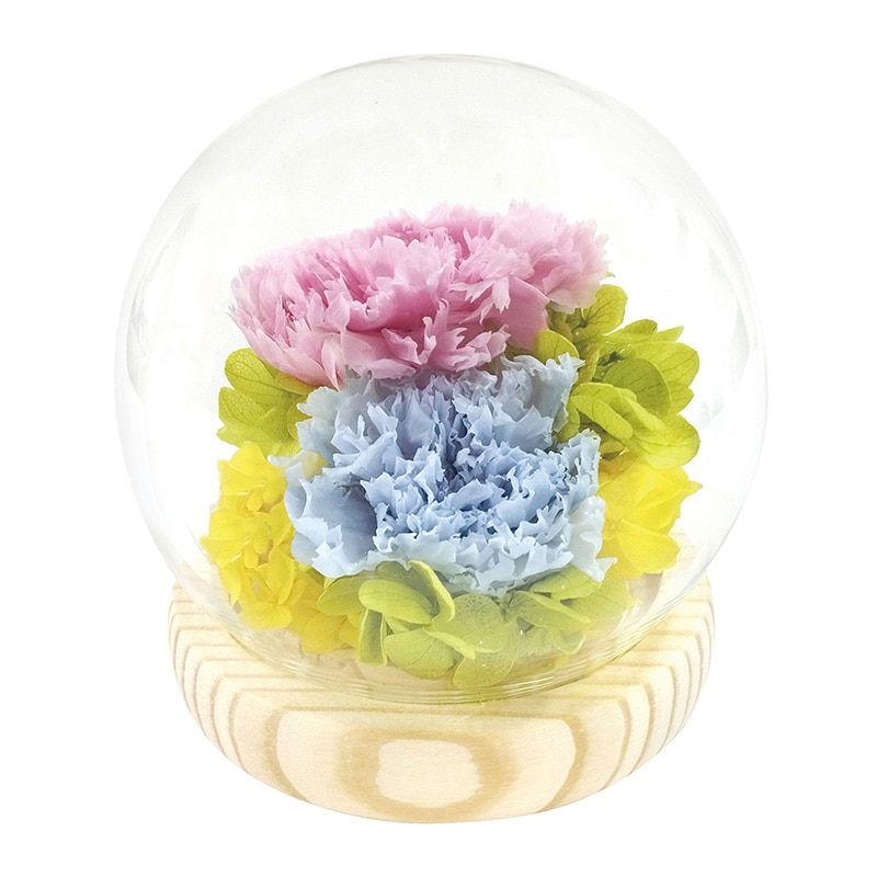 �X�t�B�A�h�[���A�����W�����g�@�D�@�u���[�{�s���N�y�����p�z