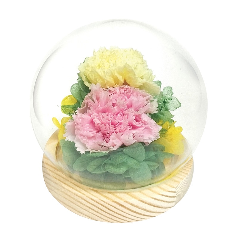 �X�t�B�A�h�[���A�����W�����g�@�D�@�C�G���[�{�s���N�y�����p�z