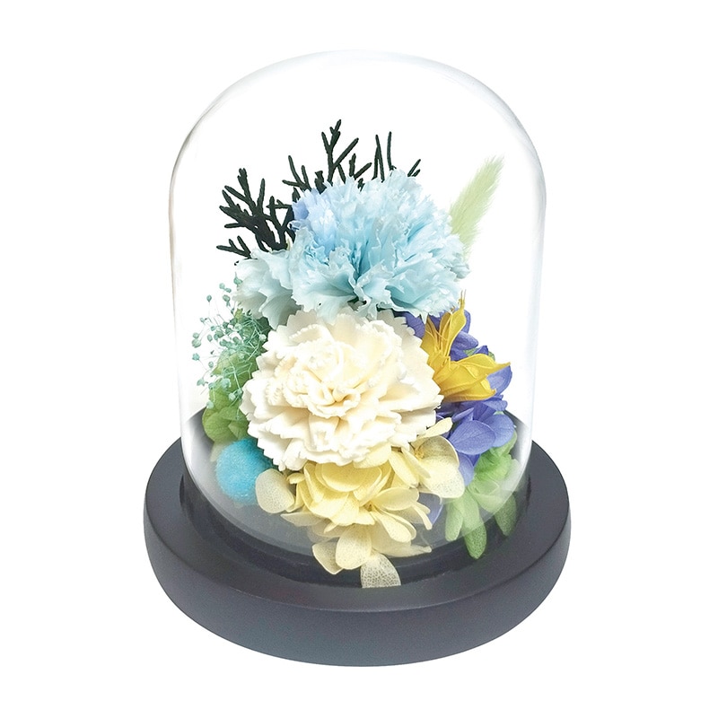 �K���X�h�[���A�����W�����g�@�����y�����p�z