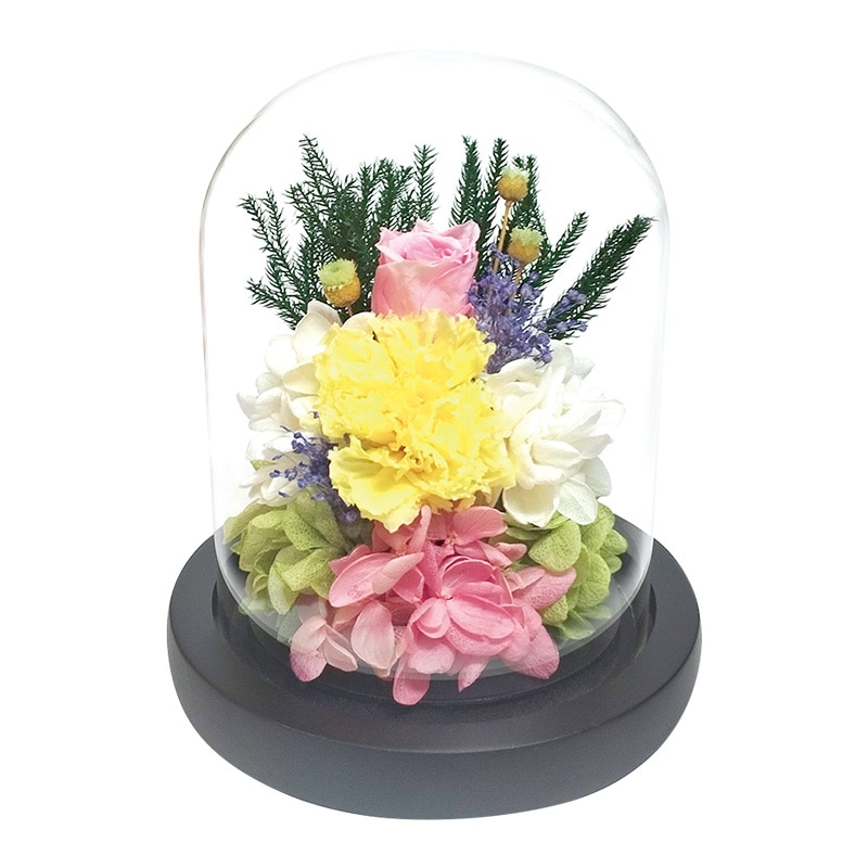 �K���X�h�[���A�����W�����g�@�ˏ��y�����p�z