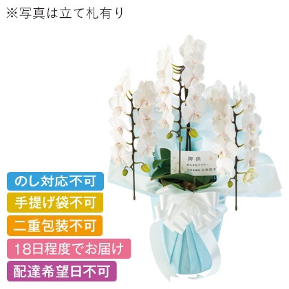 ���{�̋ɂ݁@�z���C�g�@�~�f�B�R�{���y�����p�z