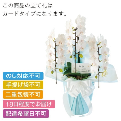 ���{�̋ɂ݁@�z���C�g�@�~�f�B�R�{���@���ĎD�L��y�����p�z