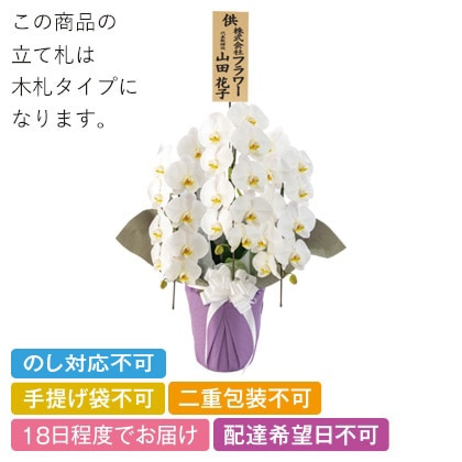 ���{�̋ɂ݁@�v�����X�@�R�{���a�@�R�k�T�C�Y�@���ĎD�L��y�����p�z