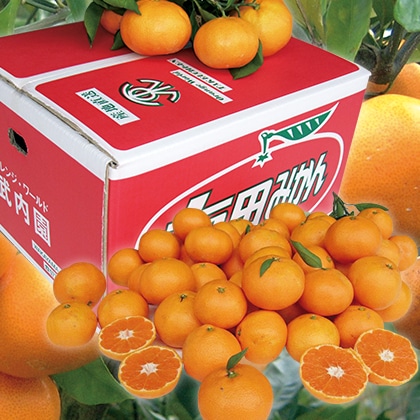 ☆ みかん☆ 和歌山産業 蔵王高原農園 国産温州みかんゼリー (68g×4)×12袋入