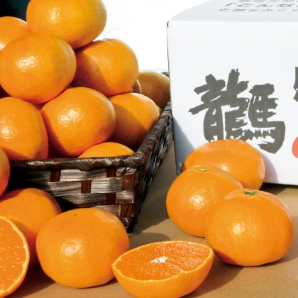 みかん　複数購入品 Cuwash！みかんの極み プレミアムデュオセット 〔Cuwash！みかん