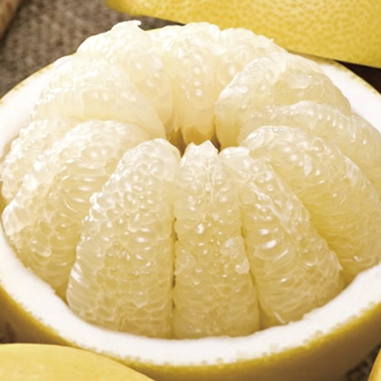 �y�����U�@�����p