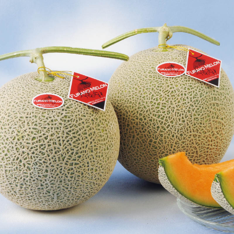 xǖ쑾z̏_Q