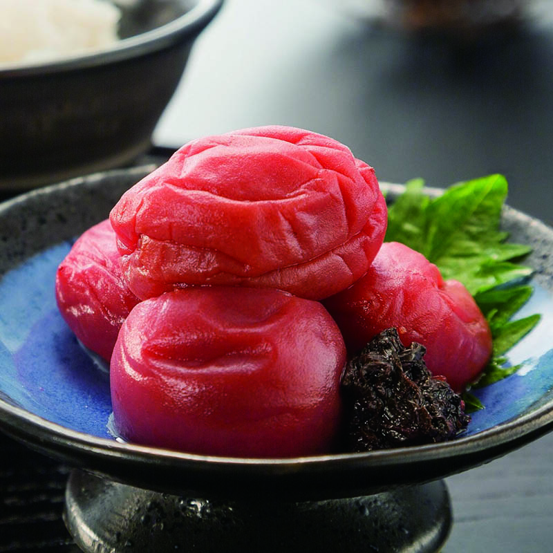 Ђ~ڂ@UTO