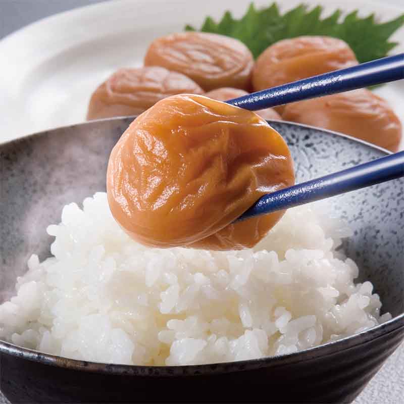 IB썂~~