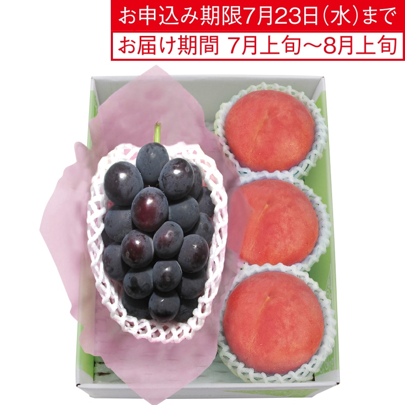 {̂ԂǂxZT[Iʐi{Łj