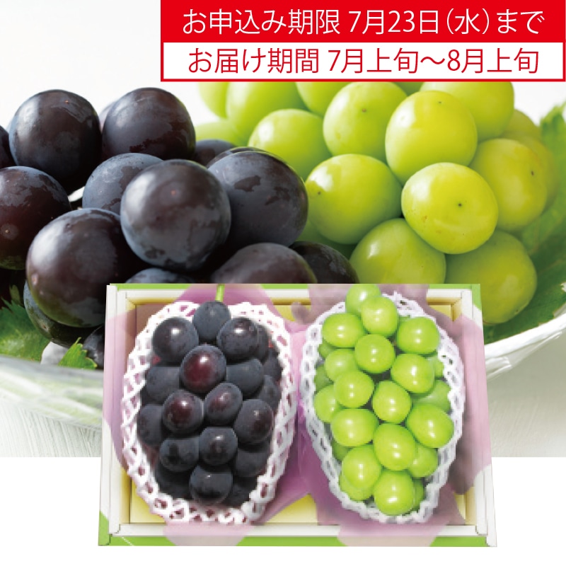 VC}XJbg햳Ԃǂi{Łj