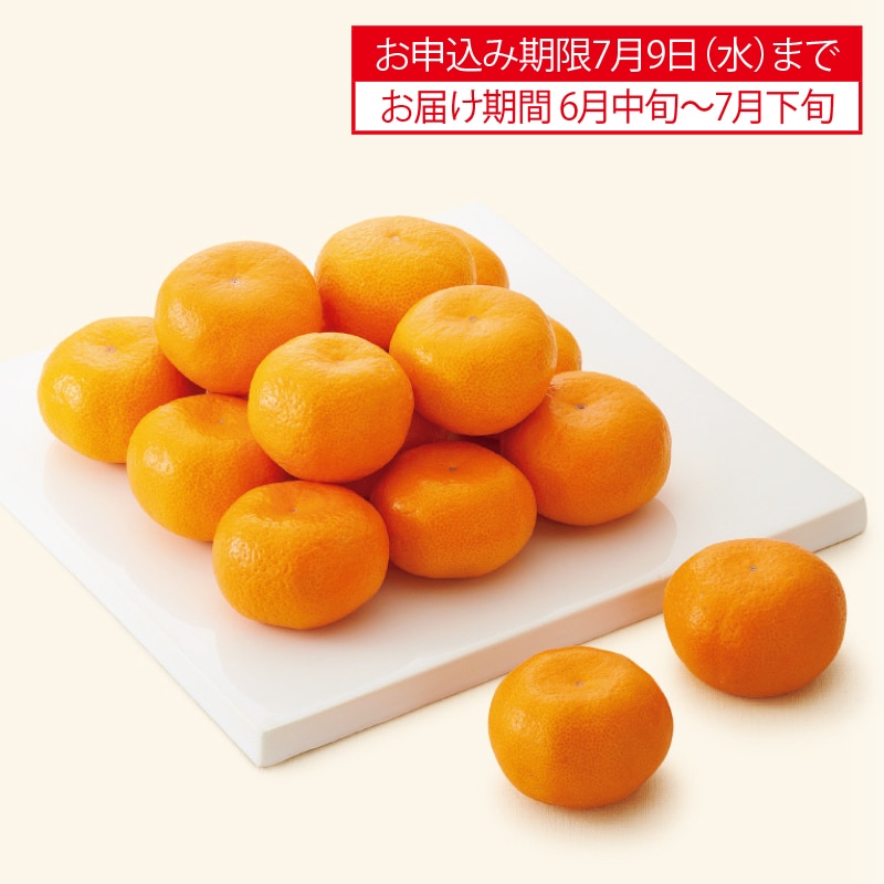 TEt[c@꓂Á@nEX݂i{Łj