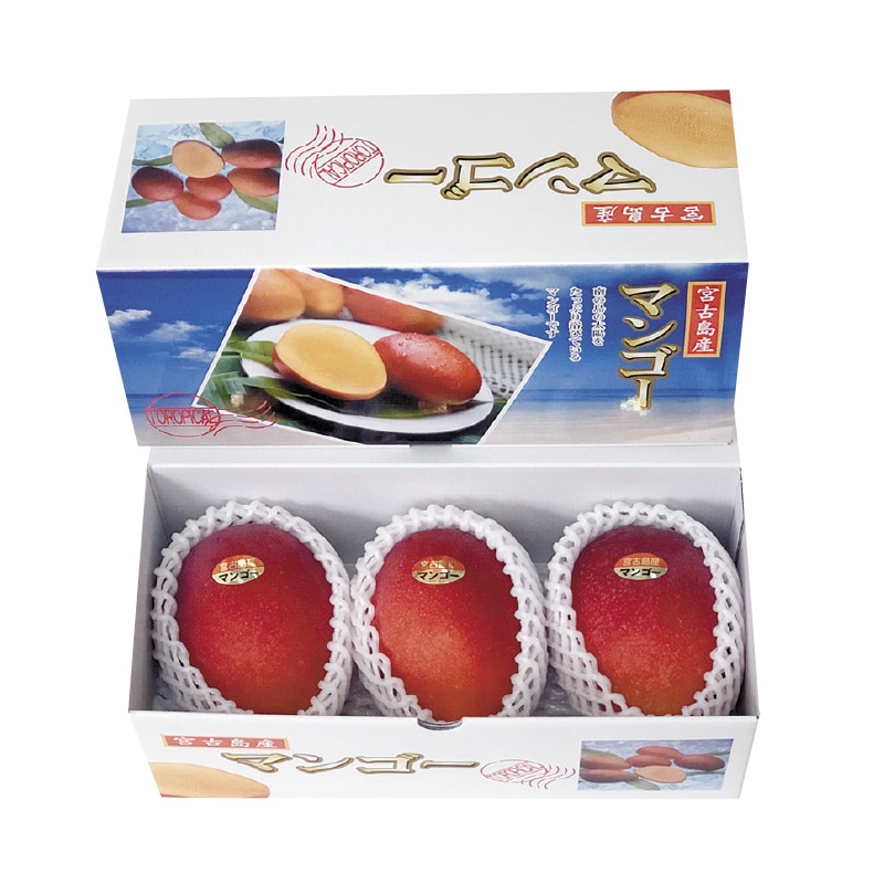 宮古島産 摘果マンゴー3.5kg（送料込み）即日発送^ ^ - メルカリ