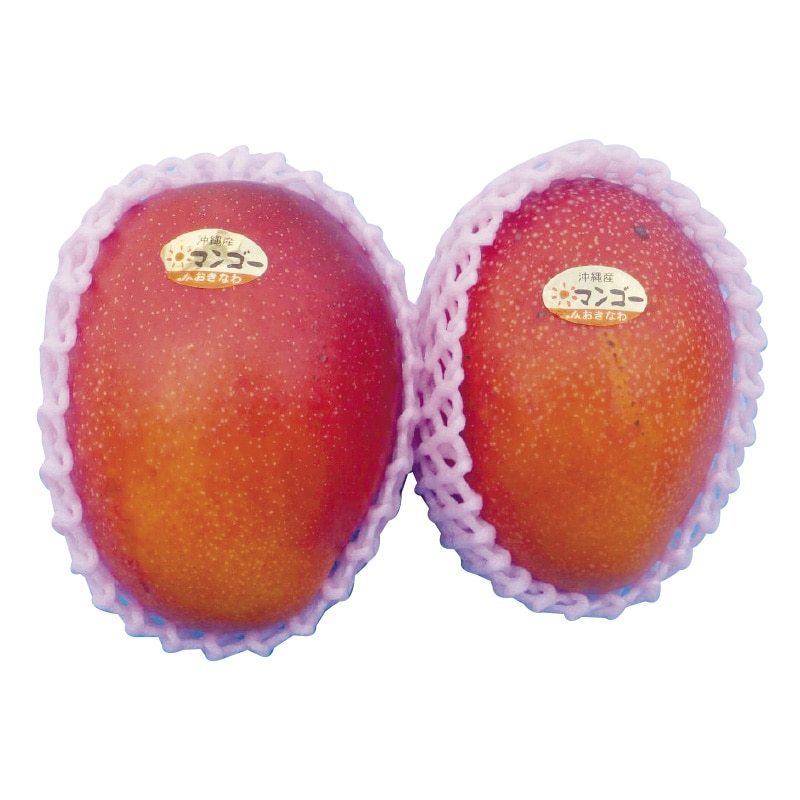 <お中元>マンゴー 1kg