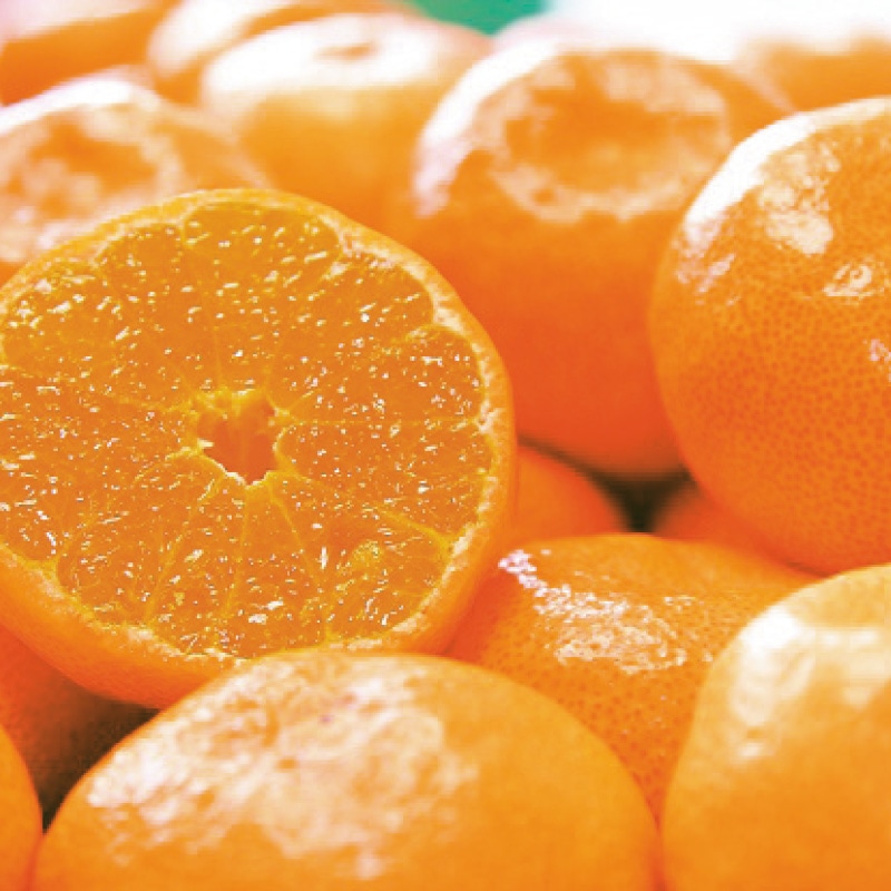 <お歳暮>有田みかん3kg